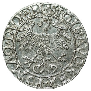 Sigismund II. August, Halbgroschen 1558, Vilnius – LI/LITV