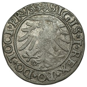 Sigismund I the Old, grosz, 1533, Elbląg