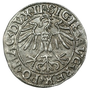 Zygmunt II August, Półgrosz 1550, Wilno - LI/LITVA