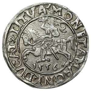 Zygmunt II August, Półgrosz 1556, Wilno - L/LITVA