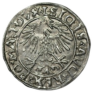 Zygmunt II August, Półgrosz 1556, Wilno - L/LITVA