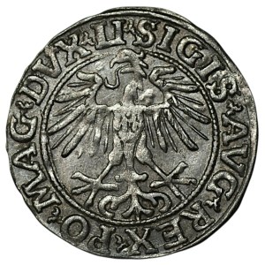 Zygmunt II August, Półgrosz 1551, Wilno - LI/LITVA