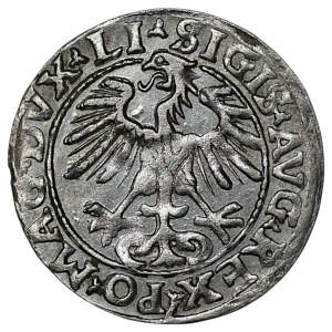 Sigismund II Augustus, Half-Groschen, 1554, Vilnius - LI/LITVA