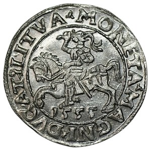 Sigismund II Augustus, Half-groschen, 1555, Vilnius - LI/LITVA