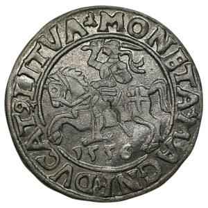 Zygmunt II August, Półgrosz 1556, Wilno - LI/LITVA