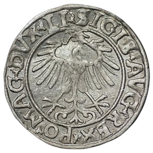 Zygmunt II August, Półgrosz 1556, Wilno - LI/LITVA