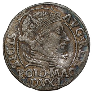 Sigismund II Augustus, Polish Foot Groschen, 1548 - L/LITVA