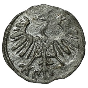 Sigismund II Augustus, Denar, 1554, Vilnius