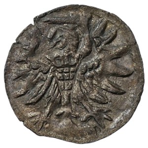 Sigismond II Auguste, denier de 1556, Gdańsk