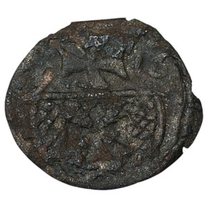 Sigismund II Augustus, Denar, 1556, Elbląg