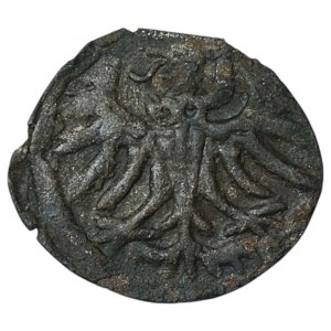Sigismund II Augustus, Denar, 1556, Elbląg