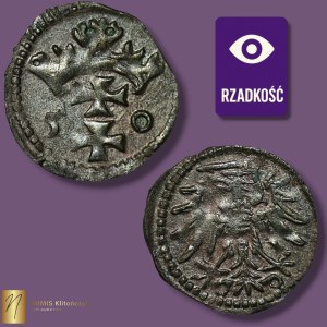 Zygmunt II August, Denar 1550, Gdańsk