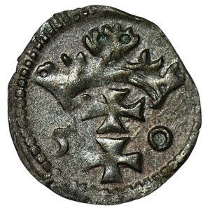 Zygmunt II August, Denar 1550, Gdańsk