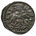 Zygmunt II August, Denar 1550, Gdańsk