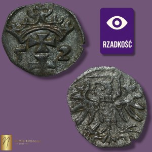 Zygmunt II August, Denar 1552, Gdańsk