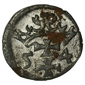 Sigismond II Auguste, denier de 1554, Gdańsk