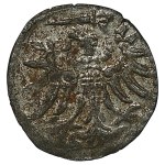 Sigismond II Auguste, denier de 1554, Gdańsk
