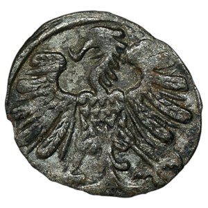Sigismondo II Augusto, denaro del 1558, Vilnius