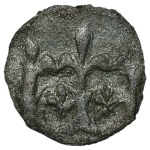 Žiūrėti panašius