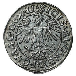 Sigismund II Augustus, Half-Groschen, 1548, Vilnius - LI/LITVA