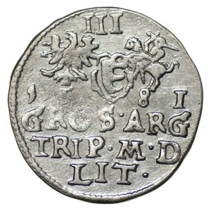 Stefan Batory, Trojak 1581, Vilnius