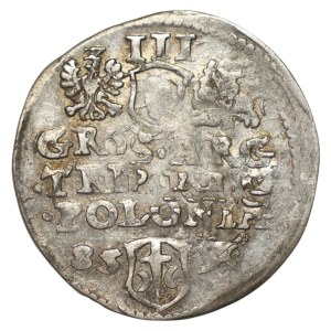 Stefan Batory, Trojak 1585, Poznań