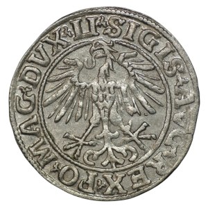 Sigismund II Augustus, Half-Grosz, 1551, Vilnius - LI/LITVA