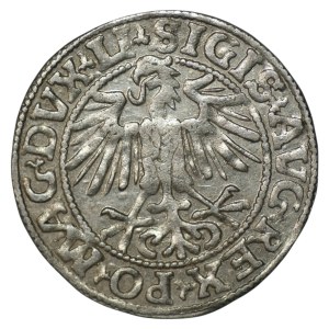 Sigismund II Augustus, Half-grosz, 1549, Vilnius - LI/LITVA