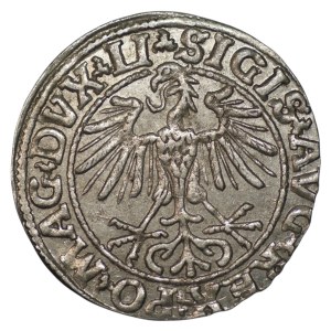 Sigismund II Augustus, Half-grosz, 1550, Vilnius - LI/LITVA