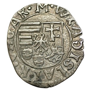 Ungarn, Władysław II. Jagiellończyk, Denar
