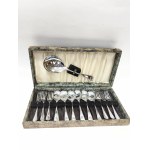 Chrome-plated dessert cutlery set in a box for 6 people