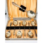 Silver-plated spoon set in its original case
