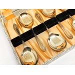 Silver-plated spoon set in its original case
