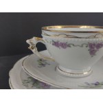 Ohme Silesia. Szczawienko. 1900–1920. Louis XVI. Breakfast set.