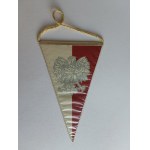 Lubin Pennant and Coat of Arms