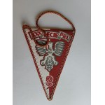 HRUBIESZÓW BANNER AND COAT OF ARMS