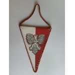 JANÓW LUBELSKI BANNER AND COAT OF ARMS