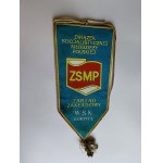 GORZYCE WSK PZL BANNER: YOUNG PROFESSIONAL, ZSMP
