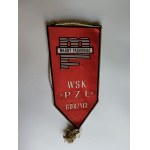 GORZYCE WSK PZL BANNER: YOUNG PROFESSIONAL, ZSMP