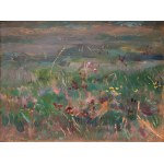 Jan Stanisławski (1860, Olszana, Ukraine – 1907, Kraków), Flowering Meadow