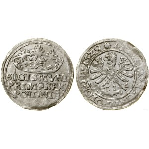 Polen, Groschen, 1529, Krakau