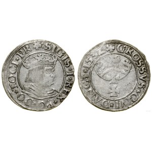 Polen, Groschen, 1532, Danzig