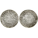 Poland, grosz, 1534, Elbląg