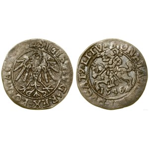 Poland, half-grosz, 1546, Vilnius