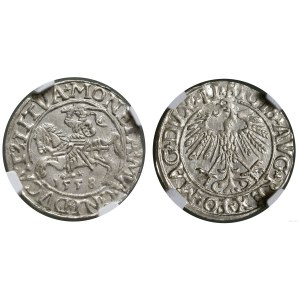 Poľsko, polgrosz, 1558, Vilnius