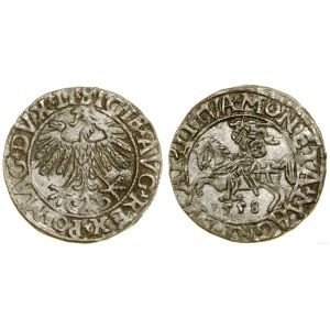 Poland, half-grosz, 1558, Vilnius