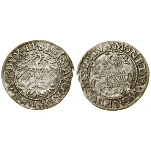 Polska, półgrosz, 1559, Wilno
