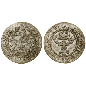 Polska, szeląg, 1551, Gdańsk