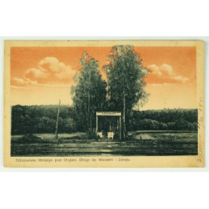 POSTCARD - Stryj. The Morszyn Spa near Stryj - 1928