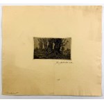 JAKUBOWSKI, Stanisław (1885–1964) — Willows [No. 33/35; the plates were subsequently destroyed; etching]